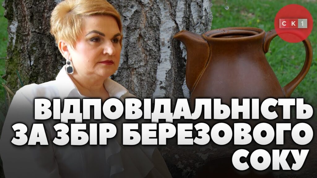 З середини березня в Україні стартував сезон збору березового соку: правила та застереження (ВІДЕО)