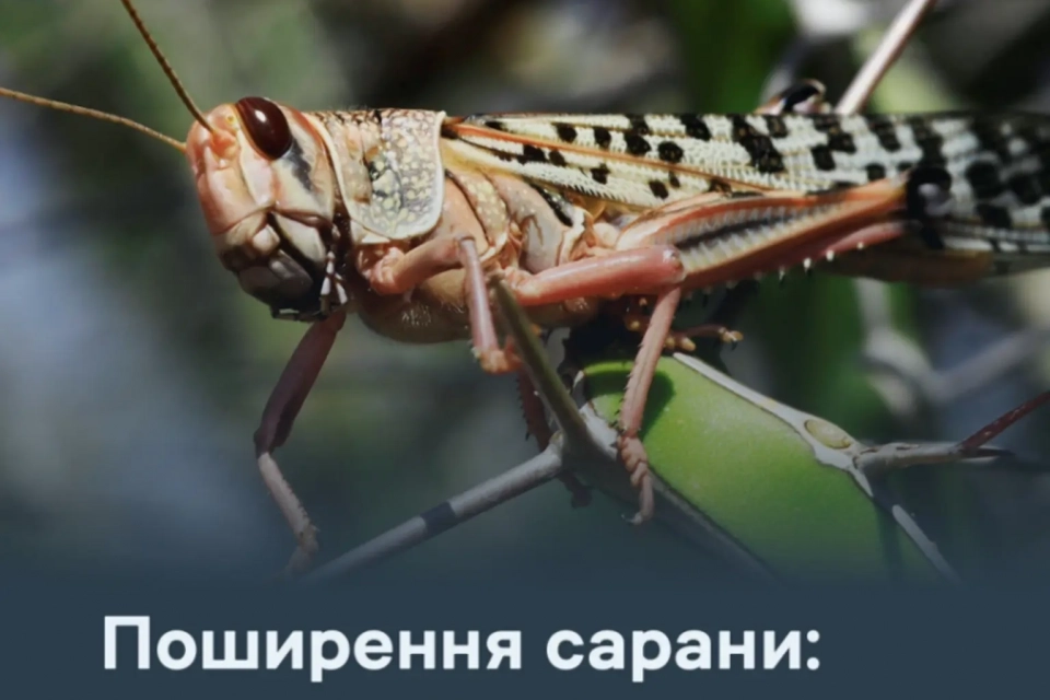 a94c21199795c0ba4a57d4046aae60ccfd7f5cd0