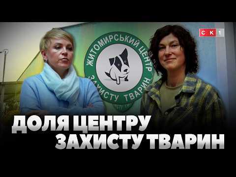 У «Центр захисту тварин» шукають нового керівника: волонтери проти (ВІДЕО)