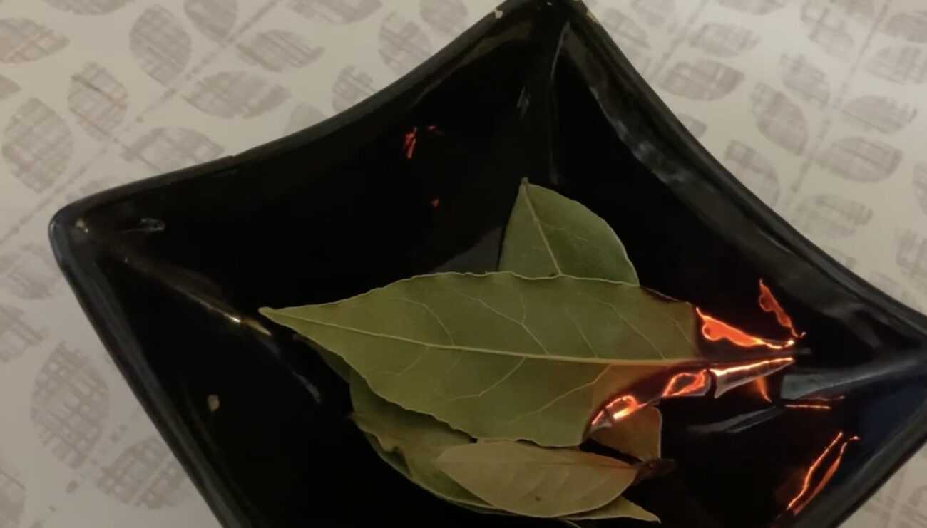 Господині розповіли, навіщо спалювати вдома лавровий лист. Фото: скриншот з відео 