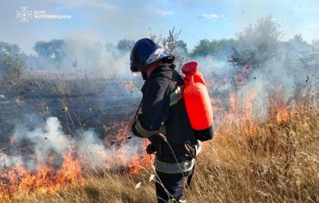 На Житомирщині доба була палка: ДСНС загасила 13 пожеж