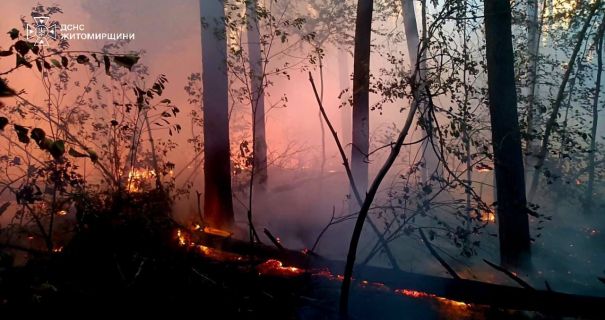На Житомирщині в заповіднику "Древлянський" палає 4 гектари лісу.