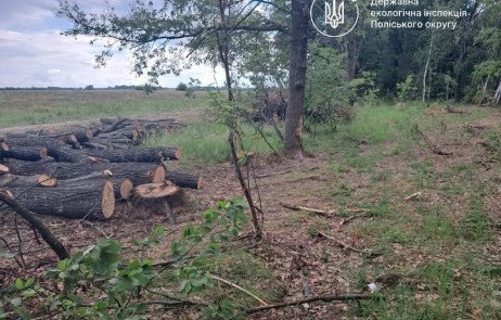 Потіївська сільрада виплатить 2,5 млн грн за 122 зруйновані дуби.