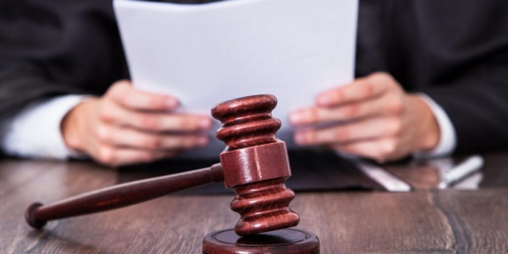Суд вимагає: Новоборівська селищна рада має розглянути питання самозалісення майже 500 гектарів.