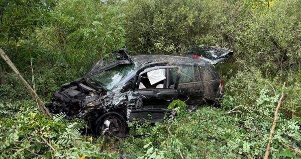 Житомирщина: жахлива ДТП з 7 постраждалими, серед них – двоє дітей