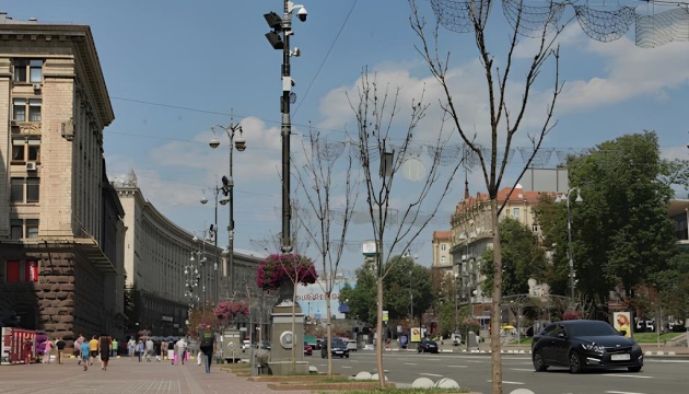 Уколом по молі: щеплення для каштанів Києва та України.
