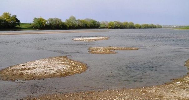 Вода зникає: на заході України ІІІ рівень небезпеки через обміління річок.